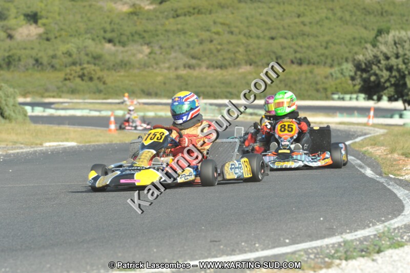 DSC (4124).JPG